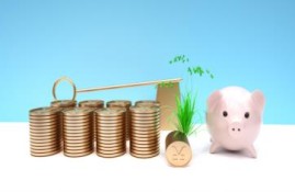 国债超过50万有保障吗？国债安全仍是基石
