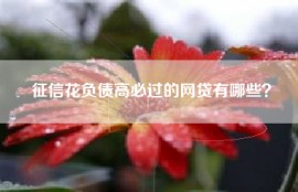 征信花负债高必过的网贷有哪些？