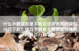什么小额贷款是不看征信负债的网贷百分百下款？这几个就是不看征信负债的网贷百分百下款
