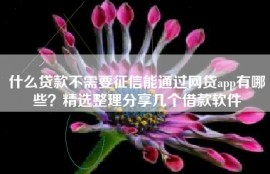 什么贷款不需要征信能通过网贷app有哪些？精选整理分享几个借款软件