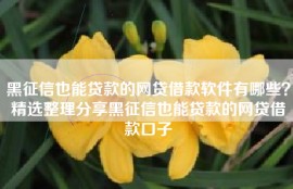 黑征信也能贷款的网贷借款软件有哪些？精选整理分享黑征信也能贷款的网贷借款口子