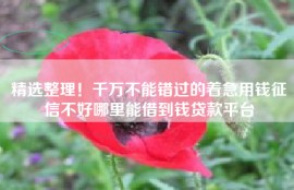 精选整理！千万不能错过的着急用钱征信不好哪里能借到钱贷款平台