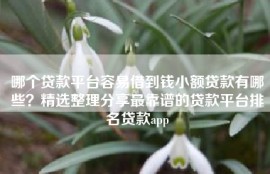 哪个贷款平台容易借到钱小额贷款有哪些？精选整理分享最靠谱的贷款平台排名贷款app