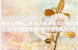 有什么网贷app是2022不看征信风控的贷款？这几个就是各种秒拒求能下款的口子