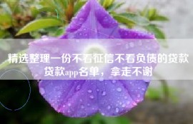 精选整理一份不看征信不看负债的贷款贷款app名单，拿走不谢