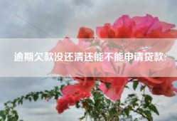 逾期欠款没还清还能不能申请贷款?