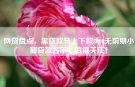 网贷盘点，黑贷款马上下款3000无前期小额贷款名单，值得关注！