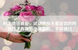 网上借钱被拒，试试这些不看征信的网贷口子有哪些小额贷款，不容错过