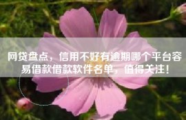 网贷盘点，信用不好有逾期哪个平台容易借款借款软件名单，值得关注！