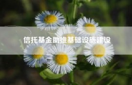信托基金助推基础设施建设