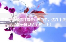整理一份微信打借条14天口子，这几个贷款平台口子了解一下！