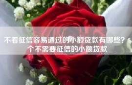 不看征信容易通过的小额贷款有哪些？5个不需要征信的小额贷款