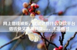 网上借钱被拒，试试这些什么贷款平台借钱快又正规网贷app，不容错过