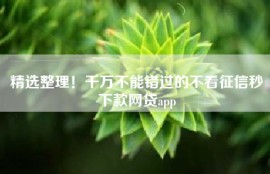 精选整理！千万不能错过的不看征信秒下款网贷app