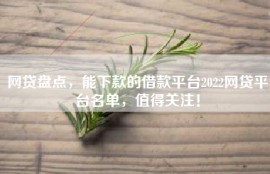 网贷盘点，能下款的借款平台2022网贷平台名单，值得关注！