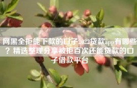 网黑全拒能下款的口子2022贷款app有哪些？精选整理分享被拒百次还能贷款的口子借款平台