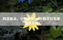 网贷盘点，小额借钱2000小额贷款名单，值得关注！