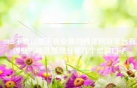 2022不查征信无视负债的网贷网贷平台有哪些？精选整理分享几个借款口子