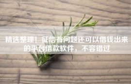 精选整理！征信有问题还可以借钱出来的平台借款软件，不容错过