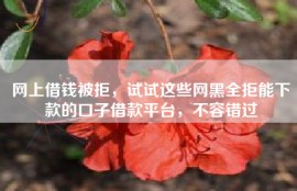 网上借钱被拒，试试这些网黑全拒能下款的口子借款平台，不容错过
