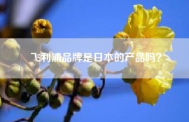 飞利浦品牌是日本的产品吗？
