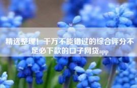 精选整理！千万不能错过的综合评分不足必下款的口子网贷app