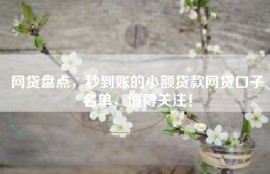 网贷盘点，秒到账的小额贷款网贷口子名单，值得关注！