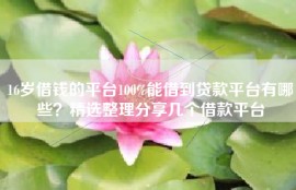 借钱的平台100%能借到贷款平台有哪些？精选整理分享几个借款平台