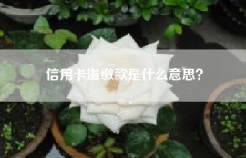 信用卡溢缴款是什么意思？