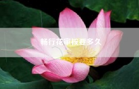 畅行花审核要多久