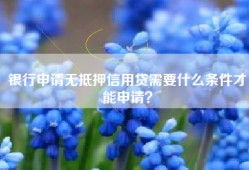 银行申请无抵押信用贷需要什么条件才能申请？