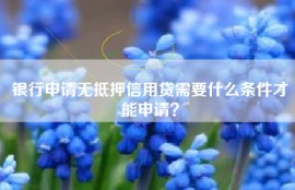 银行申请无抵押信用贷需要什么条件才能申请？