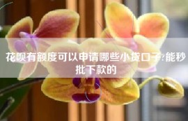花呗有额度可以申请哪些小贷口子?能秒批下款的
