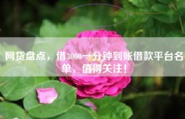 网贷盘点，借3000一分钟到账借款平台名单，值得关注！