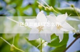 还贷款逾期了怎么办?