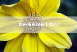 我来贷有没有下款的？