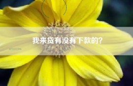 我来贷有没有下款的？