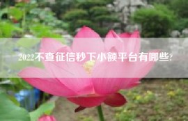 2022不查征信秒下小额平台有哪些?