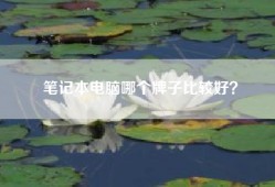 笔记本电脑哪个牌子比较好？