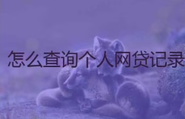 如何查询自己名下全部网贷记录？全面解析网贷查询方法与注意事项！