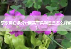 京东用白条分12期买苹果利息是怎么样的？