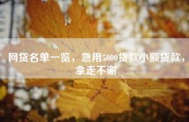 网贷名单一览，急用5000货款小额贷款，拿走不谢