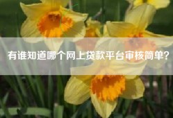 有谁知道哪个网上贷款平台审核简单？