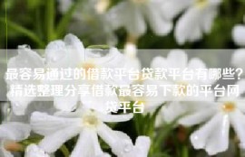 最容易通过的借款平台贷款平台有哪些？精选整理分享借款最容易下款的平台网贷平台