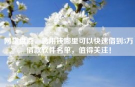 网贷盘点，急用钱哪里可以快速借到5万借款软件名单，值得关注！