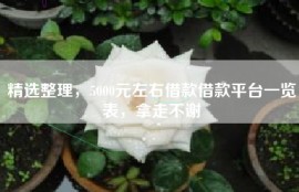 精选整理，5000元左右借款借款平台一览表，拿走不谢