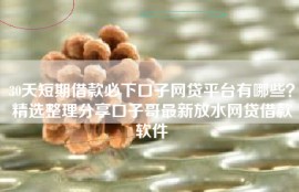 30天短期借款必下口子网贷平台有哪些？精选整理分享口子哥最新放水网贷借款软件
