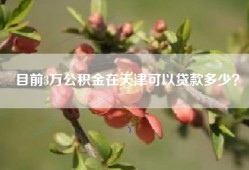 目前3万公积金在天津可以贷款多少？
