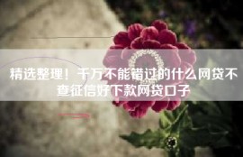 精选整理！千万不能错过的什么网贷不查征信好下款网贷口子