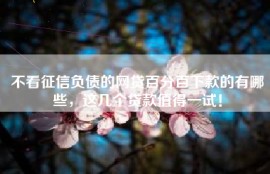 不看征信负债的网贷百分百下款的有哪些，这几个贷款值得一试！
